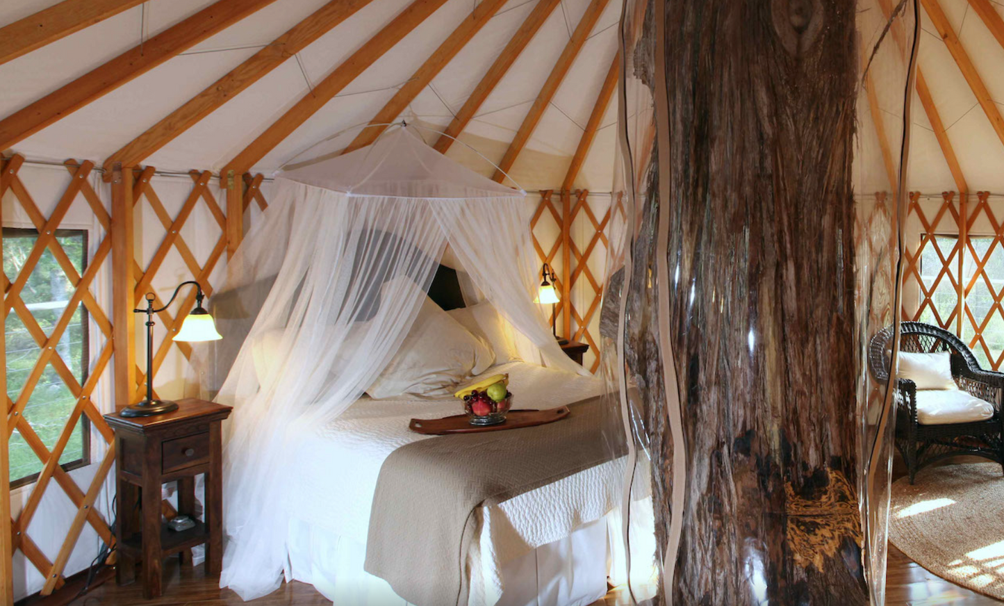 Lofthaven Treehouse