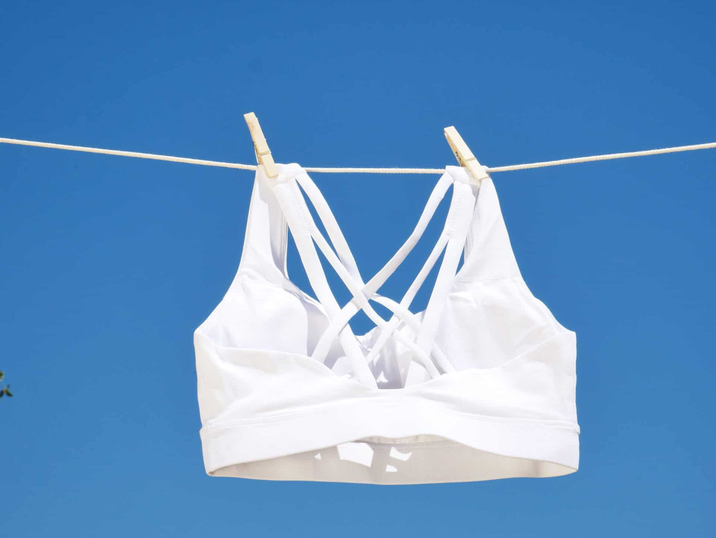 Bliss Sports Bra